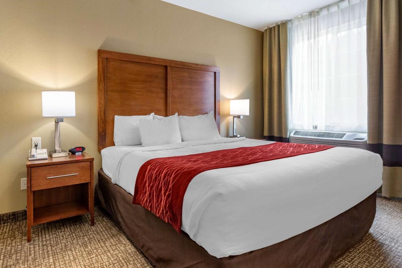Comfort Inn & Suites Near Mt Rushmore Hill City Exteriér fotografie